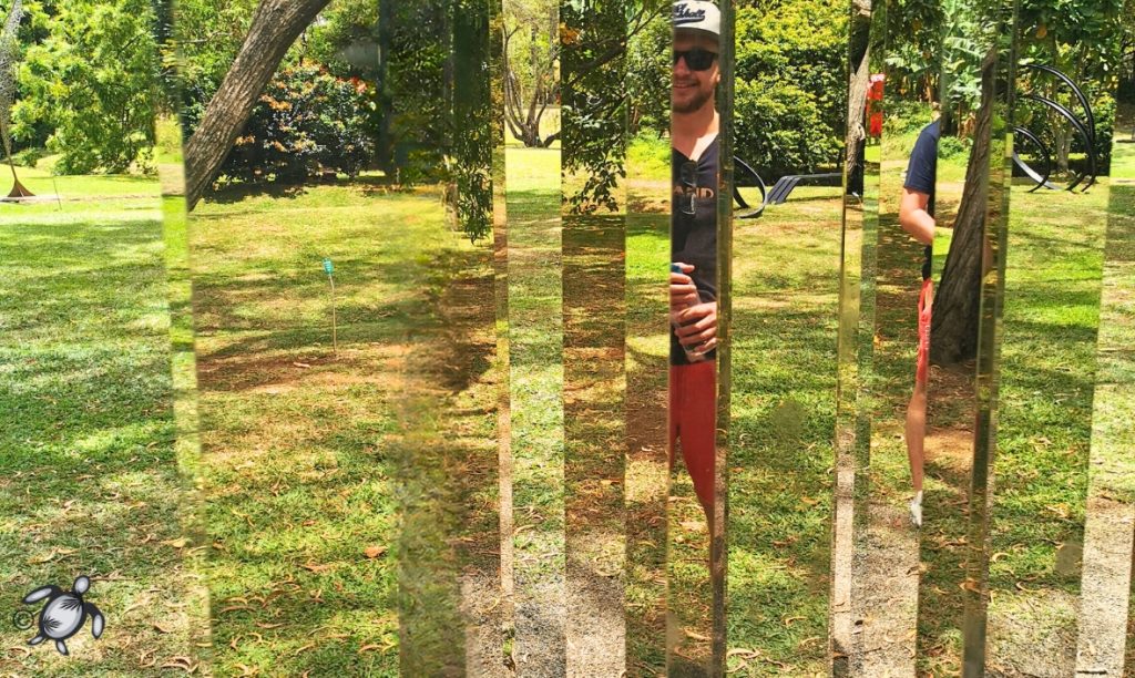 art-miroirs-jardin de l'habitation