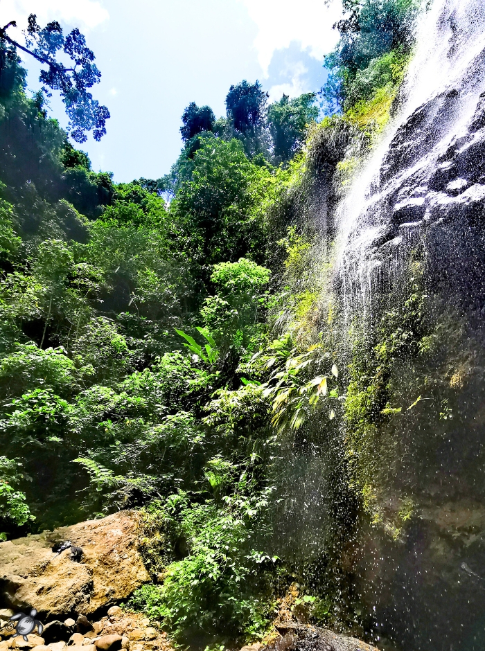 Cascade couleuvre-profil