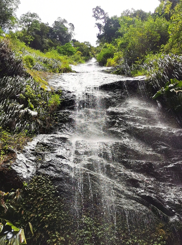 Cascade couleuvre-vue-bas