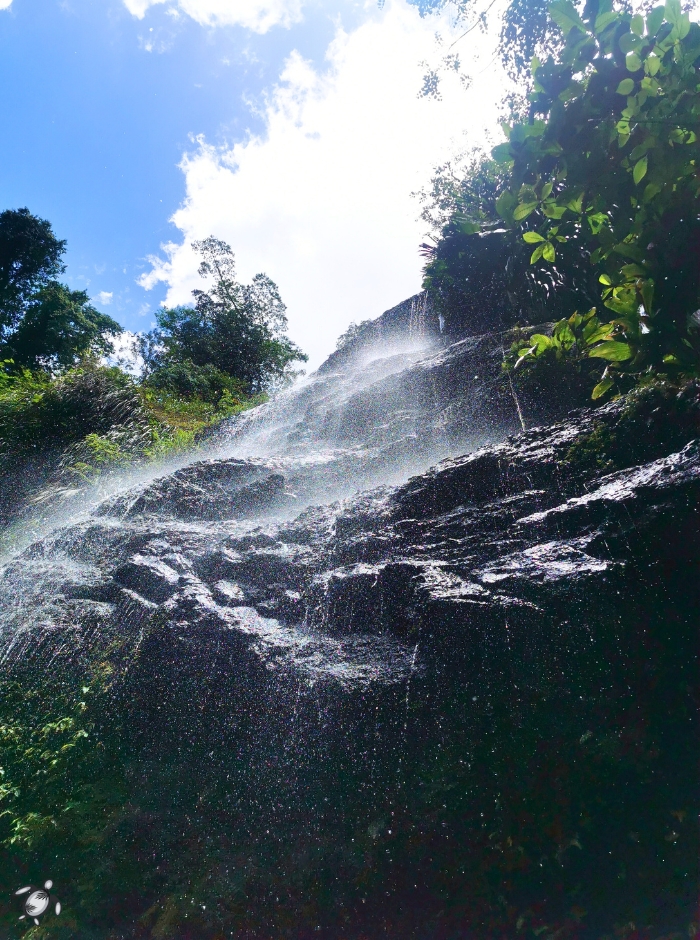 Cascade couleuvre-vue contre bas
